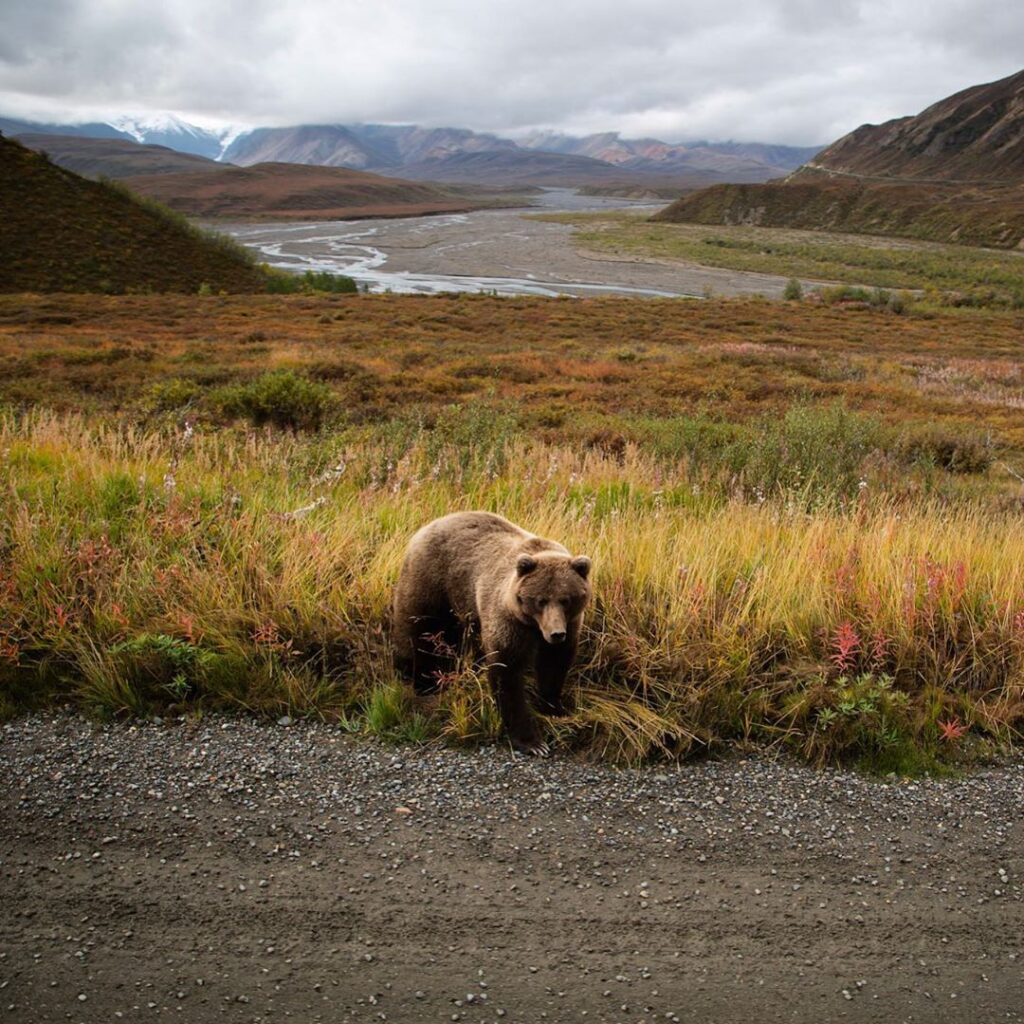 15 Most Instagrammable Places in the National Parks - US Park Pass