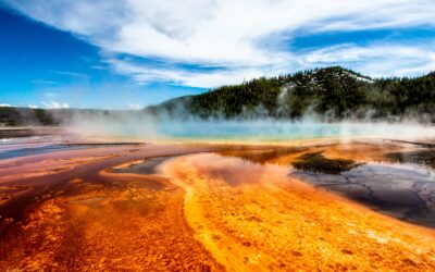 Exploring Yellowstone National Park: A Comprehensive Travel Guide