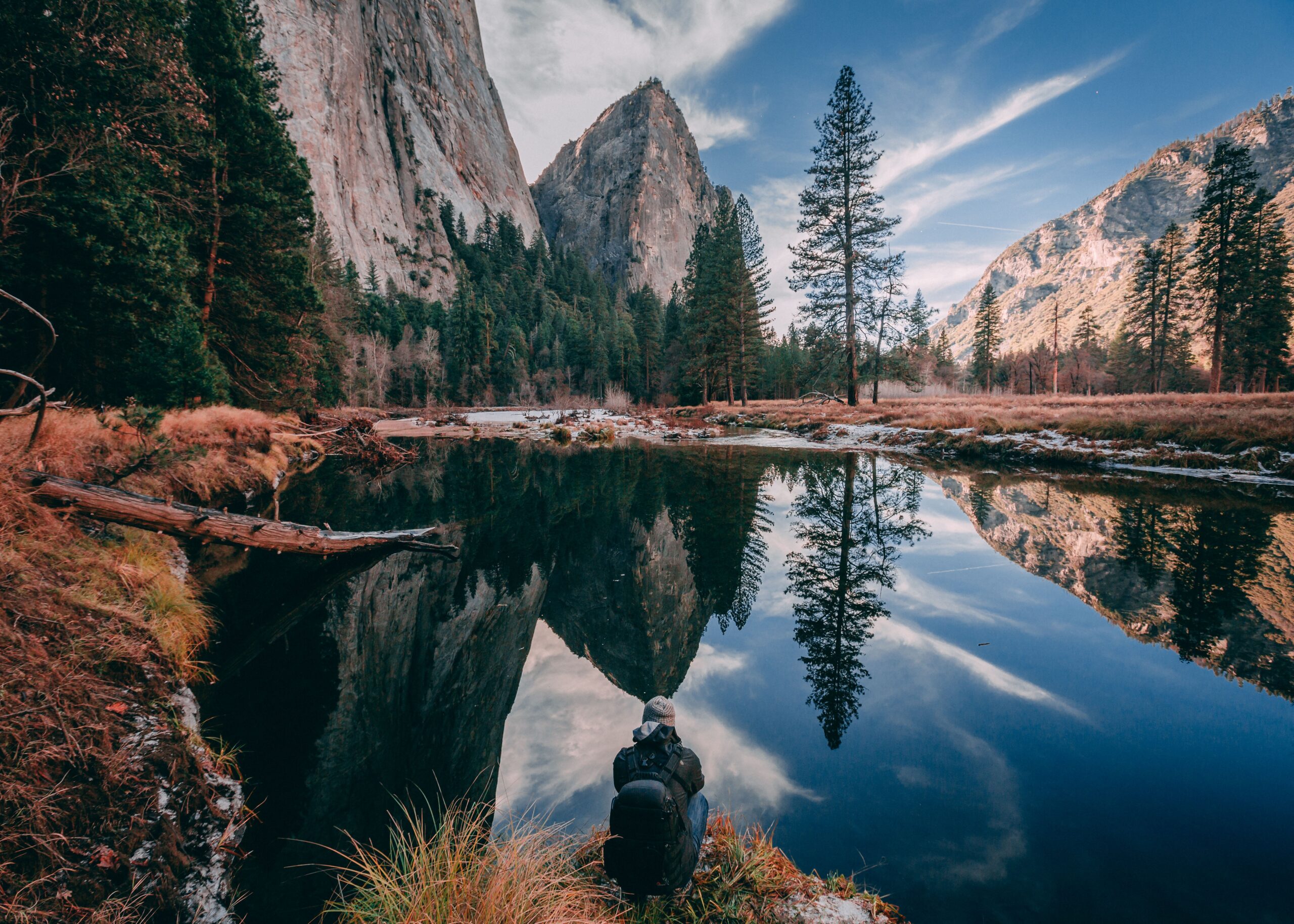 are dogs allowed at yosemite national park