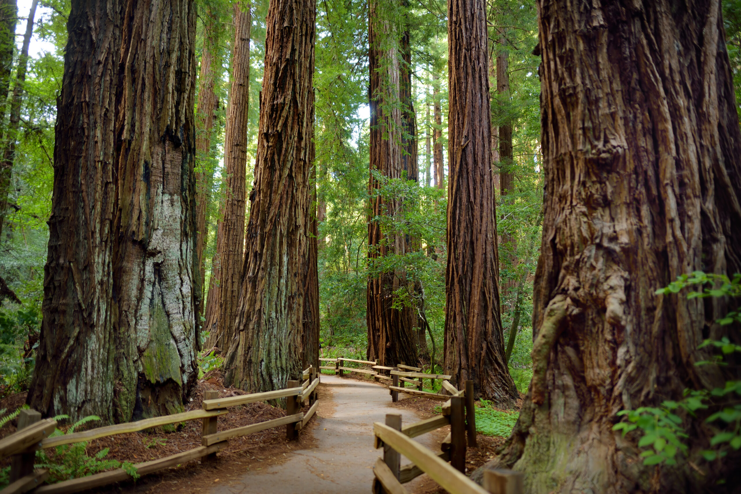 California State Parks