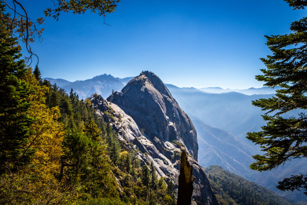 visit sequoia national park