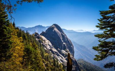 A First-Timer’s Guide to Sequoia National Park