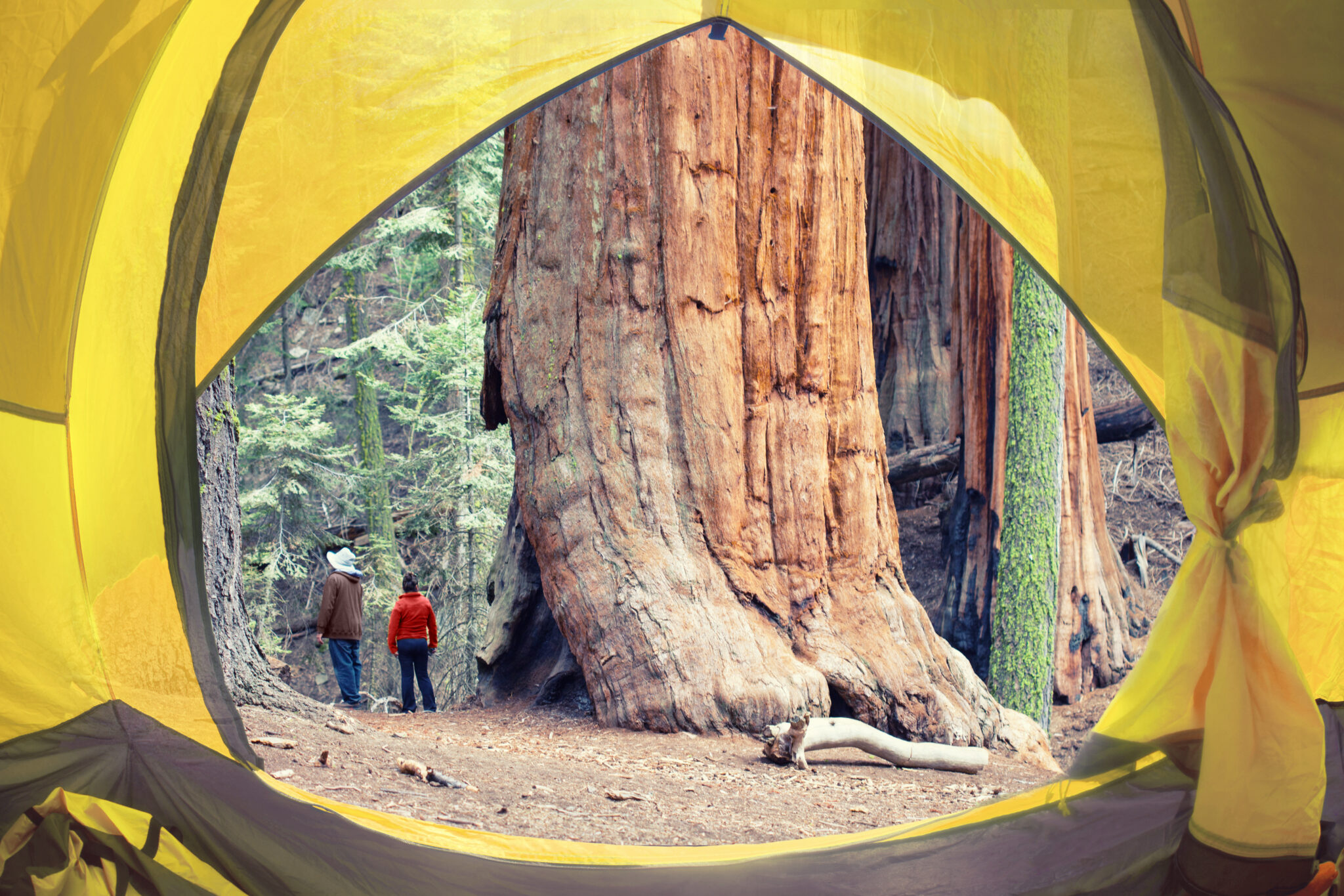 camping near sequoia national park        
        <figure class=