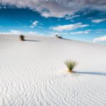 Expanse of white gypsum sand at White Sands National Park in New Mexico